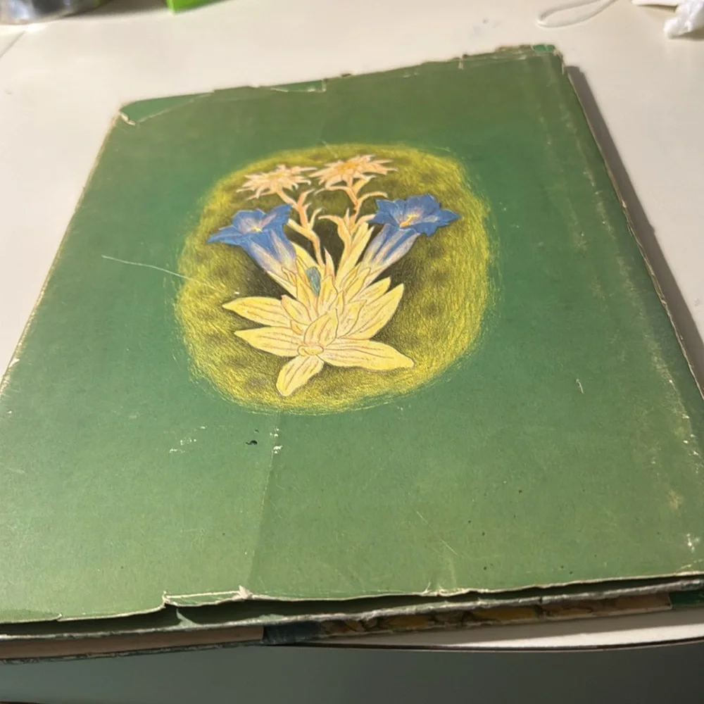 The Magic Meadows Book vintage